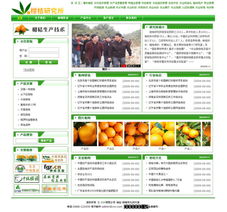 零成本建站新選擇 卓天網(wǎng)絡(luò)賦能普通用戶實(shí)現(xiàn)網(wǎng)站夢(mèng)想